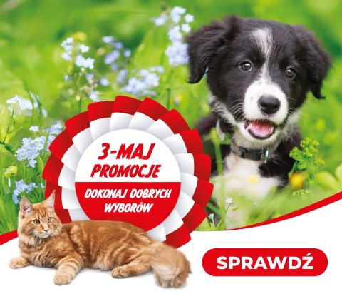 3 maj Promocje - maj 2025